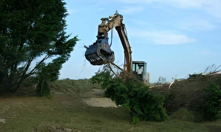 Abattage d'arbres Normandie