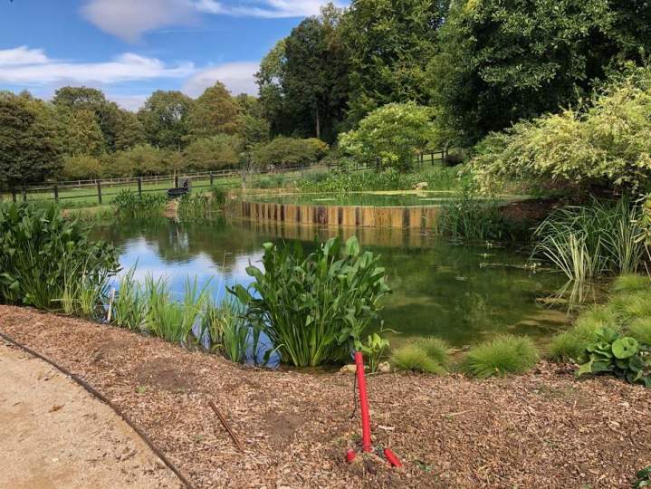 Création de bassin