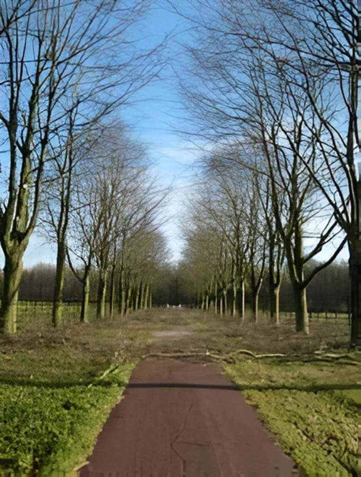 Entreprise d'élagage Normandie