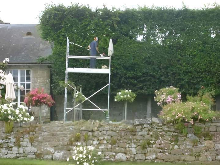 Service d'élagage Normandie
