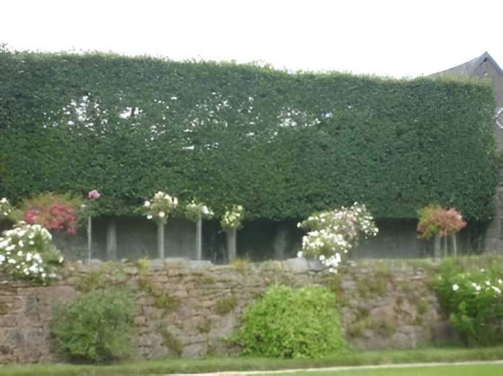 lagage d'arbres Normandie