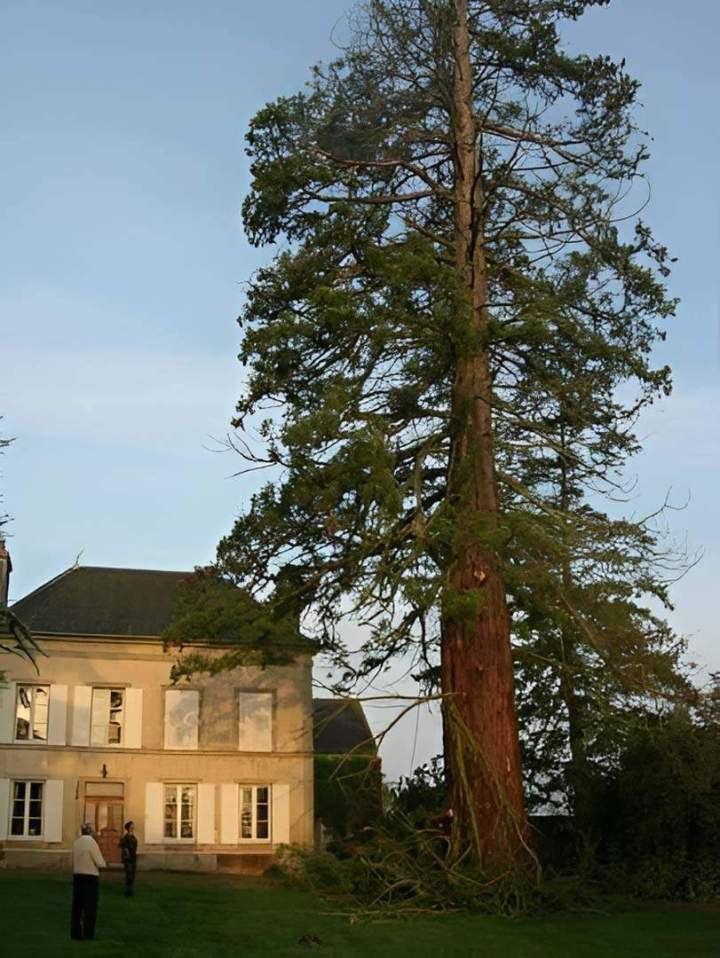lagueur professionnel Normandie